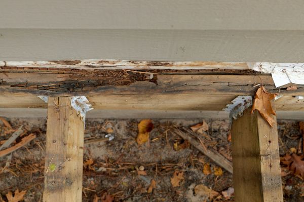Seattle Wood Rot Repair