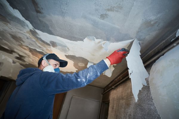 Seattle Fire Restoration